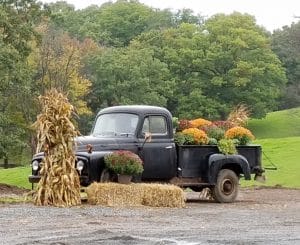 WI-Wedding-Photography-International-Pickup-Truck-1950-Rental-SunflowerHill-Floral